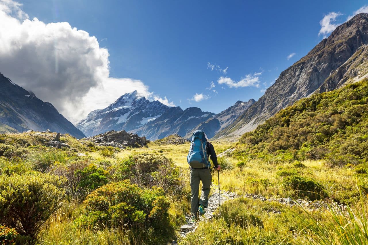 Teach in New Zealand