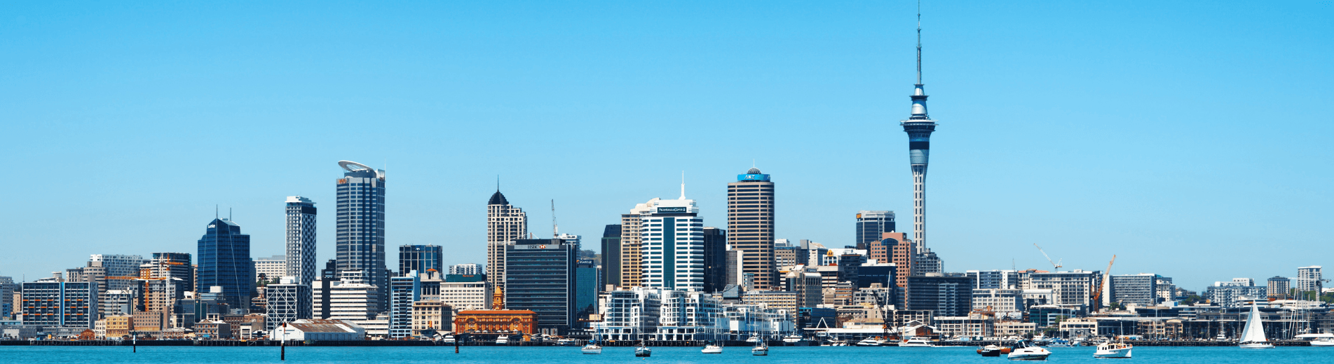 Teach in New Zealand